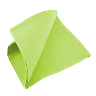 Dimension Apple Green Napkin
