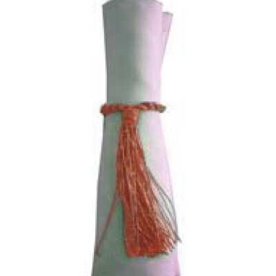 Napkin Tassels Rust