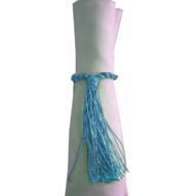 Napkin Tassels Pale Blue