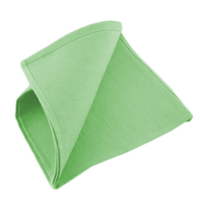 Dimension Mint Green Napkin