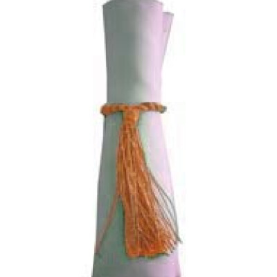 Napkin Tassels Orange