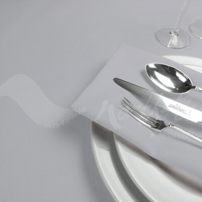 Dimension Silver Napkin