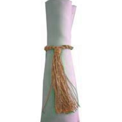 Napkin Tassels Peach