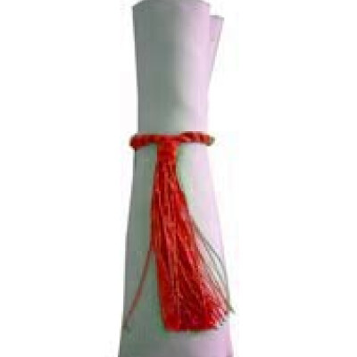 Napkin Tassels Red