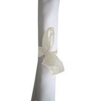 Organza Ribbon Bows Ivory