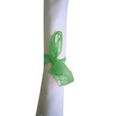 Organza Ribbon Bows Mint