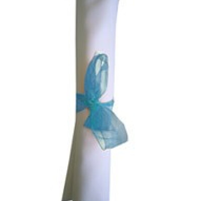 Organza Ribbon Bows Pale Blue