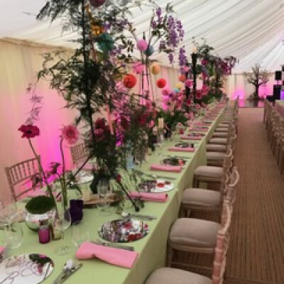 apple green dimension tablecloth