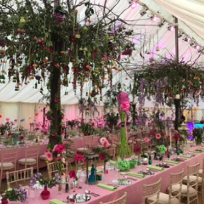 bubblegum pink dimension tablecloth 2