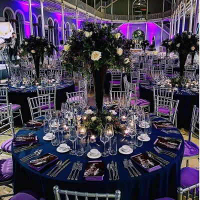 New - Blue-purple (WildeT