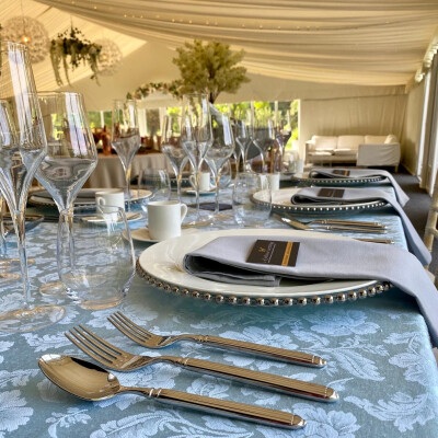 ICE BLUE WINDSOR AND GREY NAPKINS 1