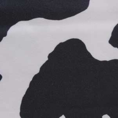 Animal Print Friesian