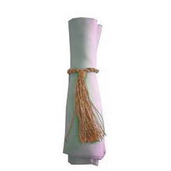 Napkin Tassel Peach