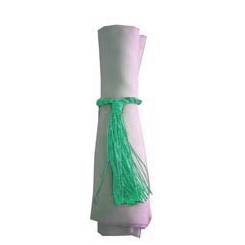 Napkin Tassel Turquoise