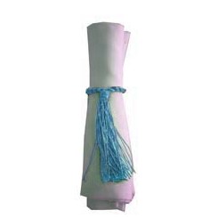 Napkin Tassel Pale Blue