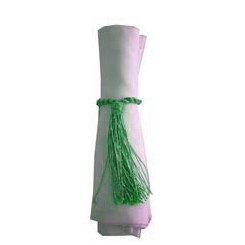 Napkin Tassel Emerald