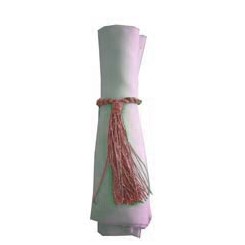 Napkin Tassel Pale Pink