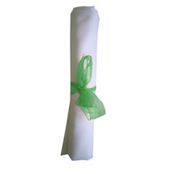 Napkin Bow Mint