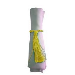 Napkin Tassel Yellow