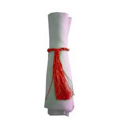 Napkin Tassel Red