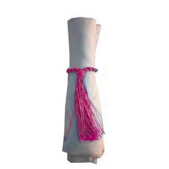 Napkin Tassel Cerise