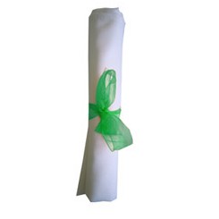 Napkin Bow Green