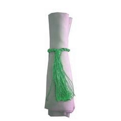 Napkin Tassel Teal