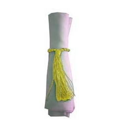 Napkin Tassel Lemon