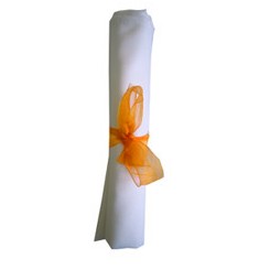 Napkin Bow Orange