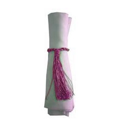 Napkin Tassel Purple