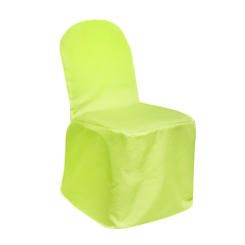 Chair Cover Primary Apple