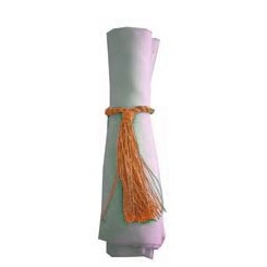 Napkin Tassel Orange