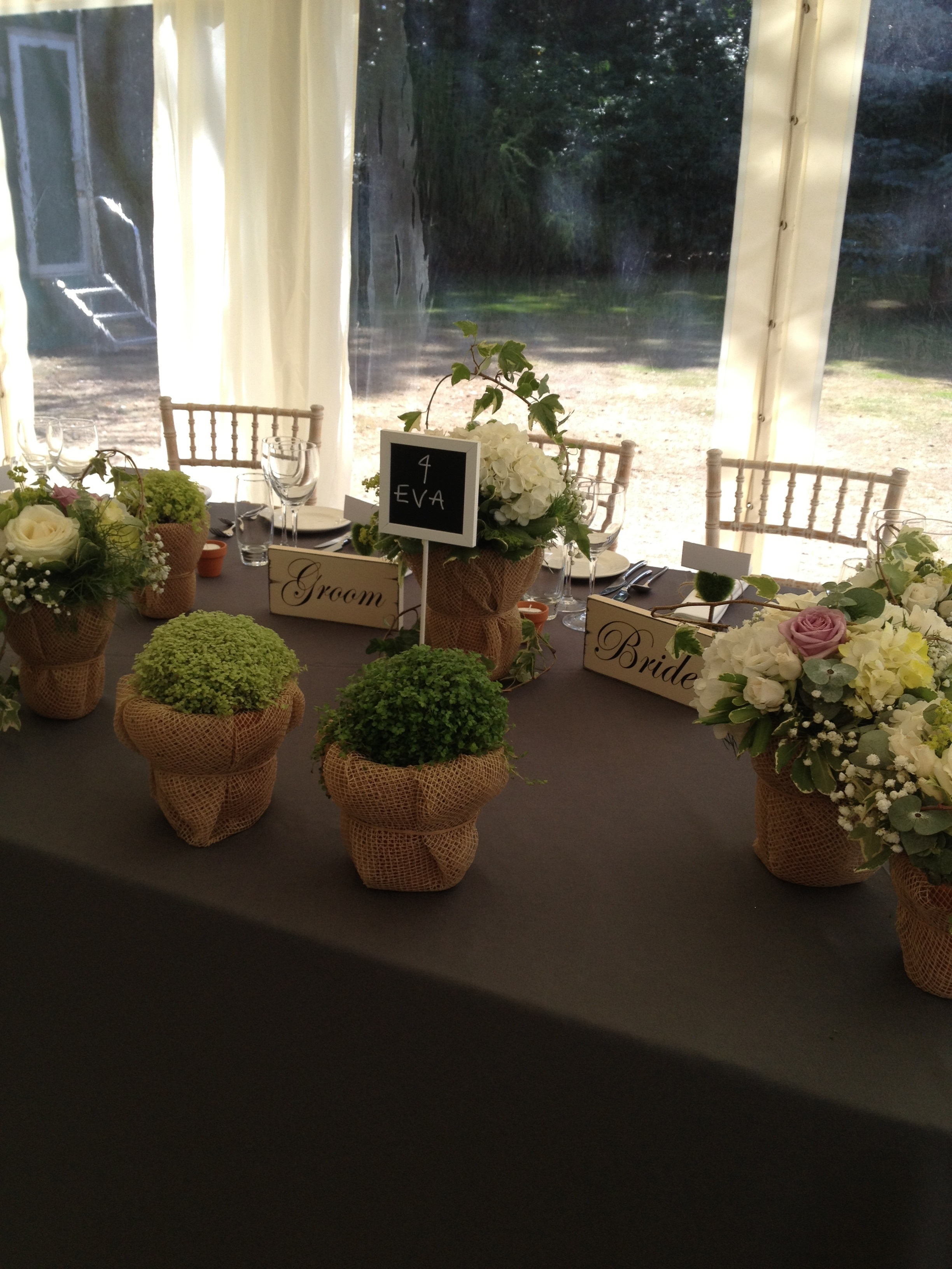 Gallery A Picture Speaks a Thousand Words Let it do the Talking